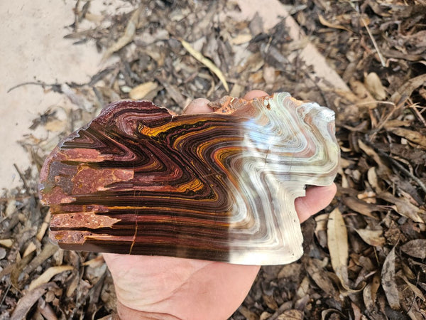 Polished Tiger Iron slab TI392