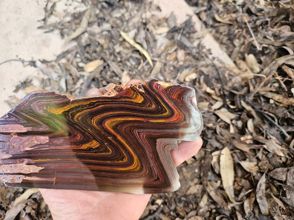 Polished Tiger Iron slab TI392