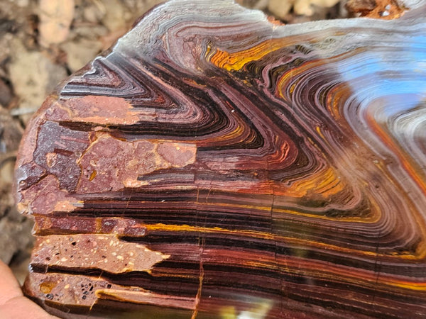 Polished Tiger Iron slab TI392