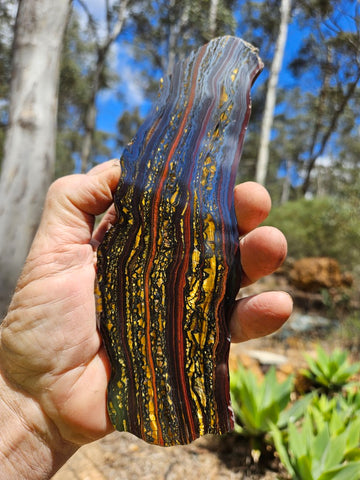 Polished Tiger Iron slab TI390