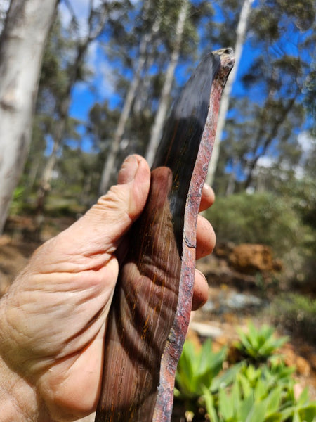 Polished Tiger Iron slab TI390