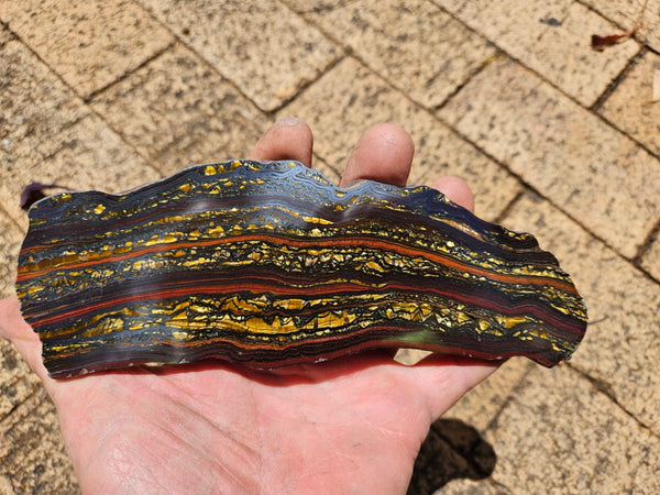 Polished Tiger Iron slab TI390