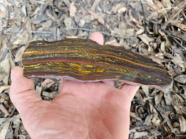 Polished Tiger Iron slab TI390