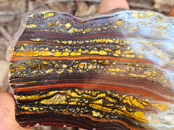 Polished Tiger Iron slab TI390