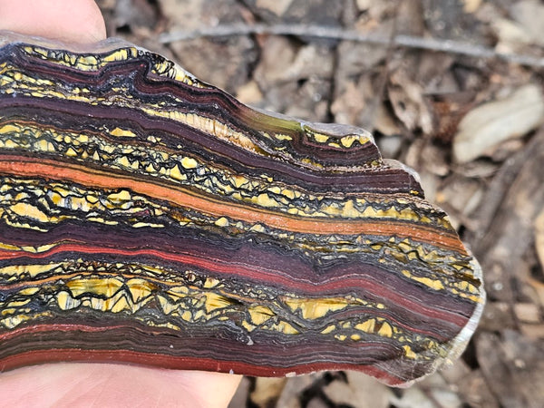 Polished Tiger Iron slab TI390