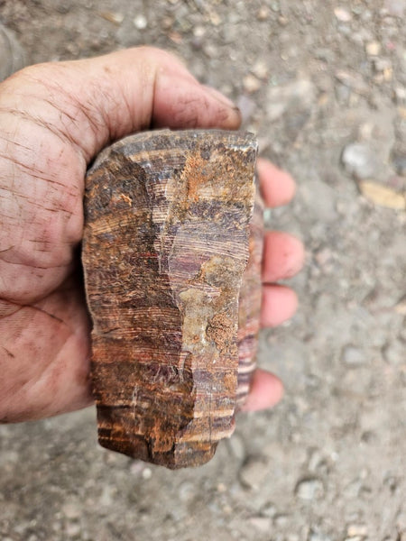 Snakeskin Jasper rough.  SSR 172