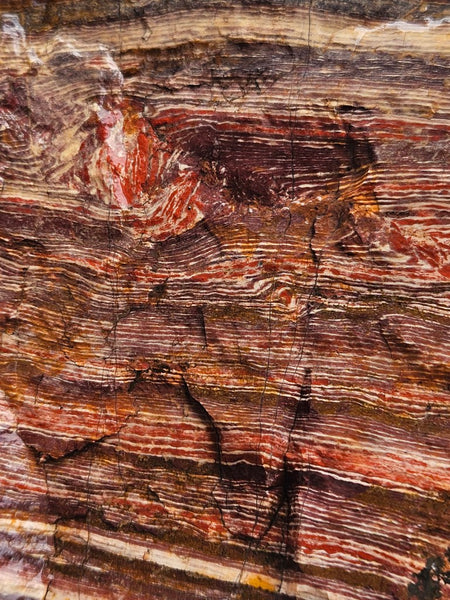 Snakeskin Jasper rough.  SSR 172