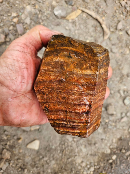 Snakeskin Jasper rough.  SSR 172