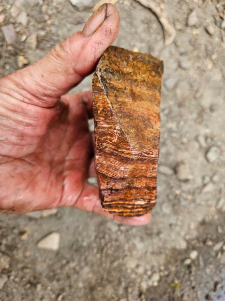 Snakeskin Jasper rough.  SSR 172