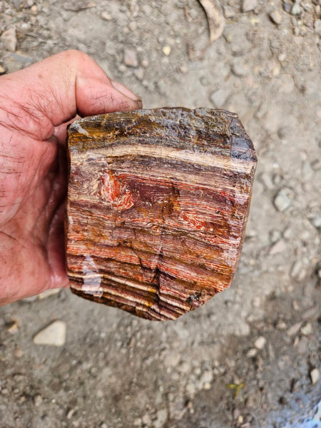 Snakeskin Jasper rough.  SSR 172