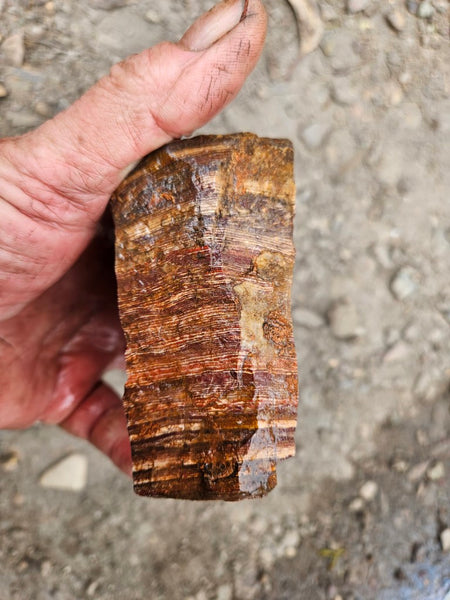 Snakeskin Jasper rough.  SSR 172