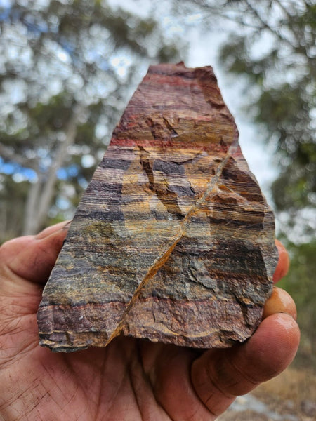 Snakeskin Jasper rough.  SSR 173