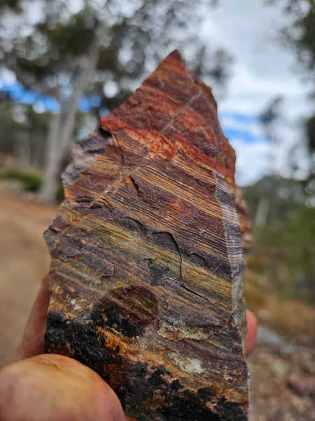 Snakeskin Jasper rough.  SSR 173