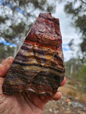 Snakeskin Jasper rough.  SSR 173