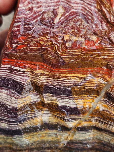 Snakeskin Jasper rough.  SSR 173