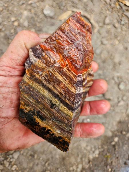 Snakeskin Jasper rough.  SSR 173