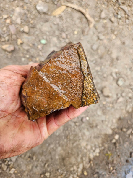 Snakeskin Jasper rough.  SSR 173