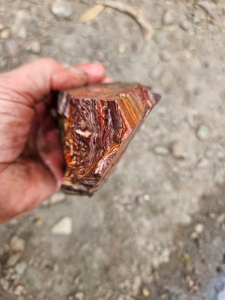 Snakeskin Jasper rough.  SSR 173