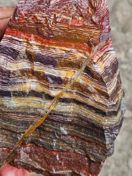 Snakeskin Jasper rough.  SSR 173