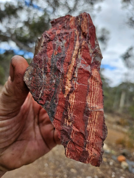 Snakeskin Jasper rough.  SSR 174