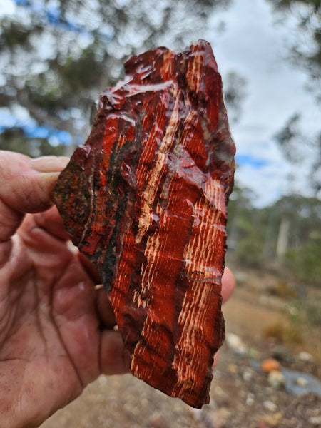 Snakeskin Jasper rough.  SSR 174