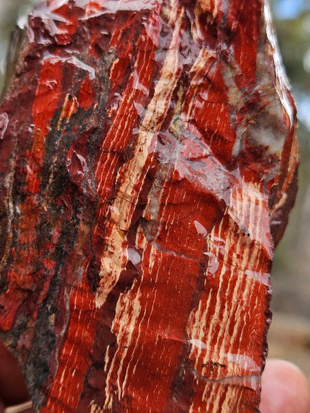 Snakeskin Jasper rough.  SSR 174