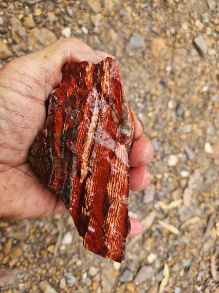 Snakeskin Jasper rough.  SSR 174