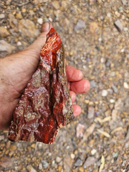 Snakeskin Jasper rough.  SSR 174