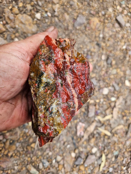 Snakeskin Jasper rough.  SSR 174