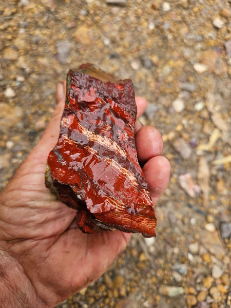 Snakeskin Jasper rough.  SSR 174