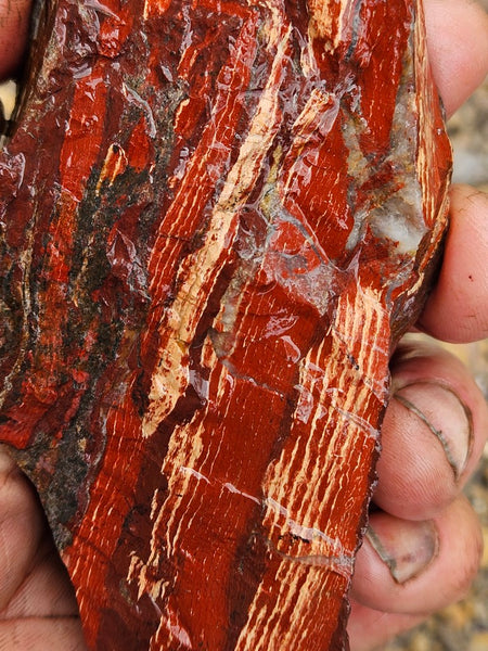 Snakeskin Jasper rough.  SSR 174