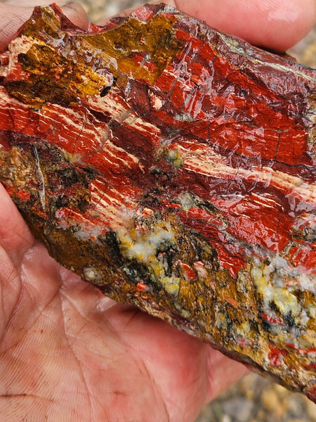 Snakeskin Jasper rough.  SSR 174