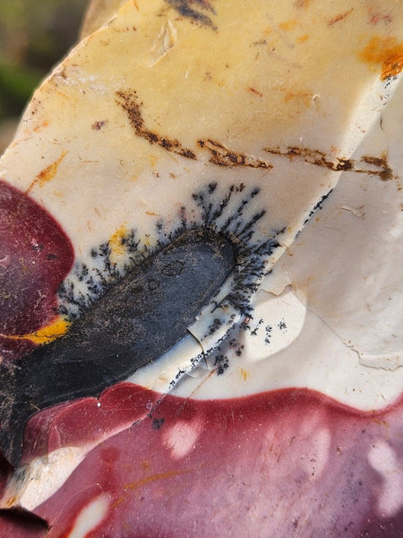 Mookaite rough.  MKR 290