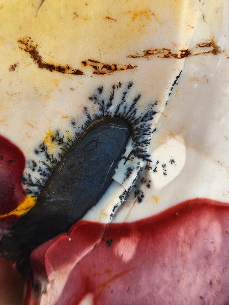 Mookaite rough.  MKR 290