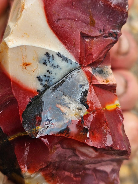 Mookaite rough.  MKR 290