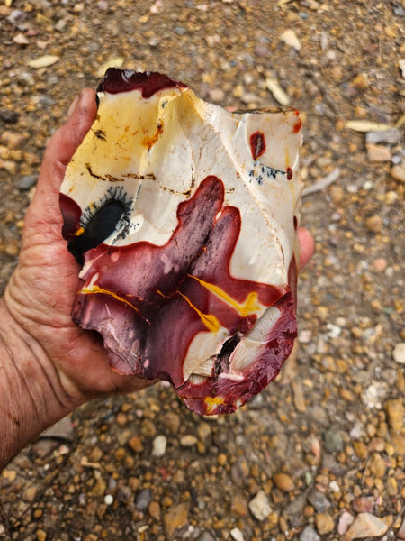 Mookaite rough.  MKR 290