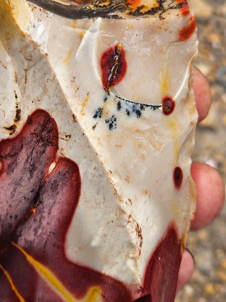 Mookaite rough.  MKR 290