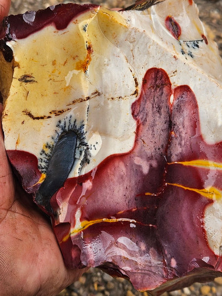 Mookaite rough.  MKR 290