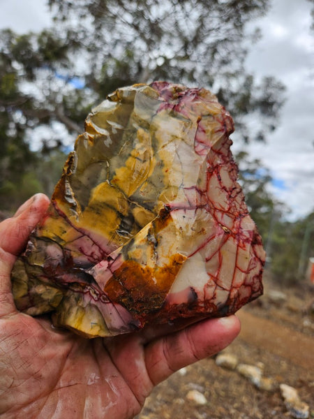 Mookaite rough.  MKR 291