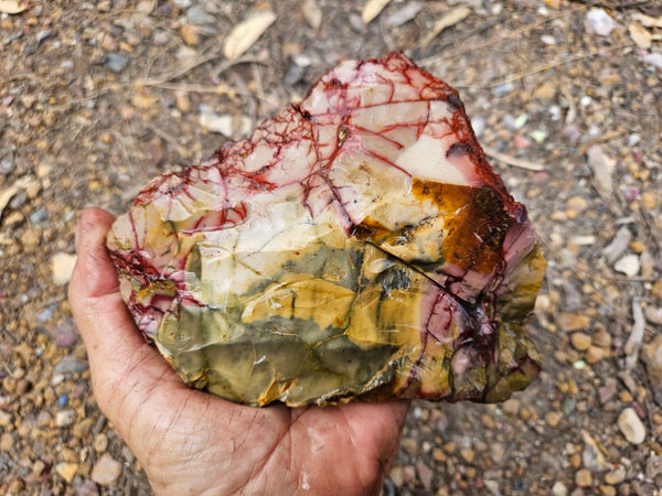 Mookaite rough.  MKR 291