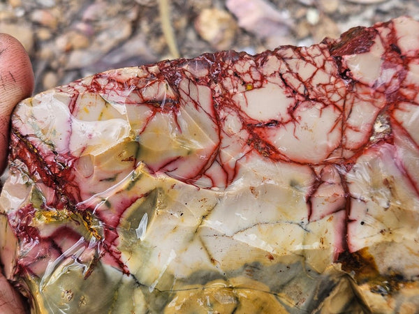 Mookaite rough.  MKR 291