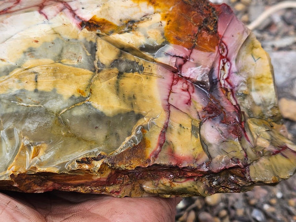 Mookaite rough.  MKR 291