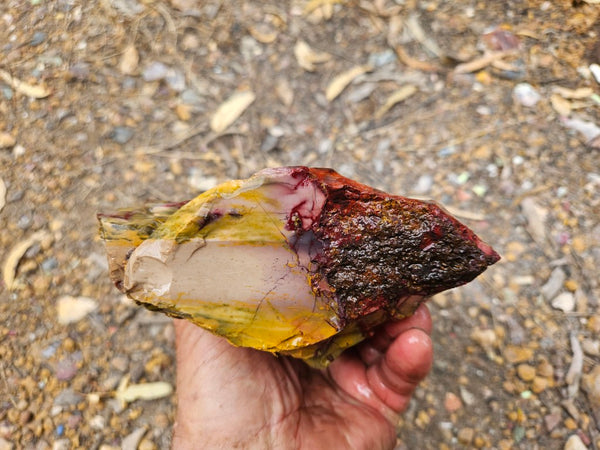 Mookaite rough.  MKR 291