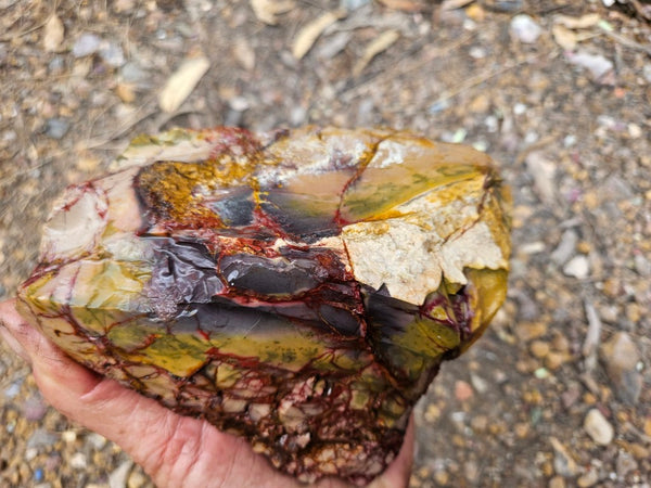 Mookaite rough.  MKR 291