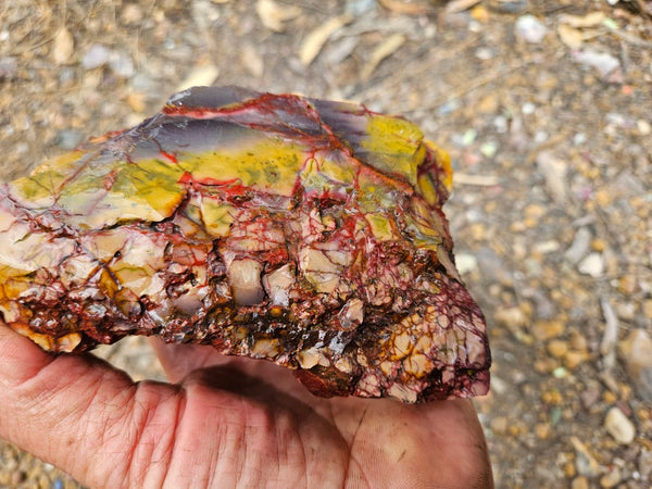 Mookaite rough.  MKR 291