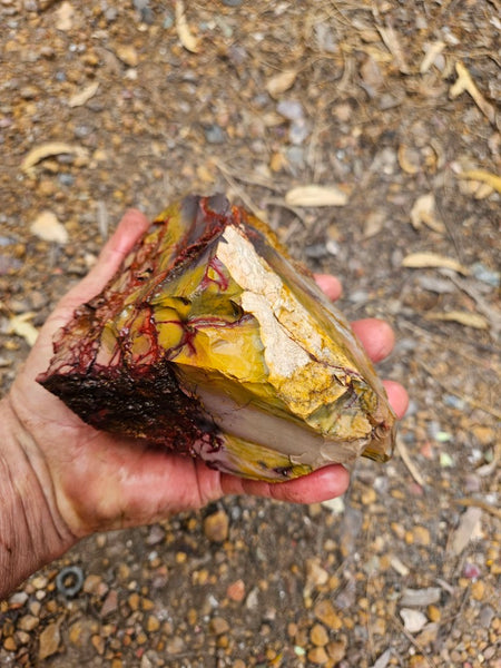 Mookaite rough.  MKR 291