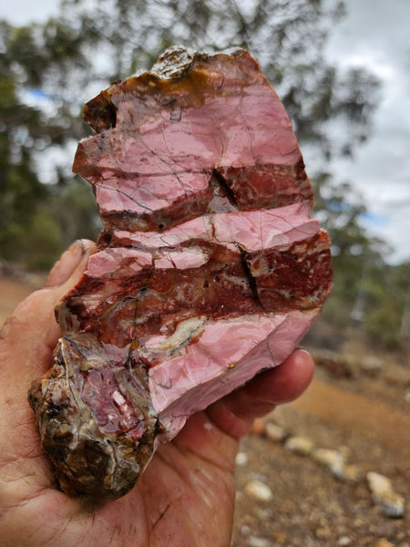 Rough  Pink Opal POR182