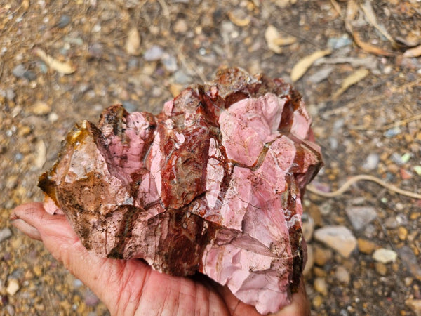 Rough  Pink Opal POR182