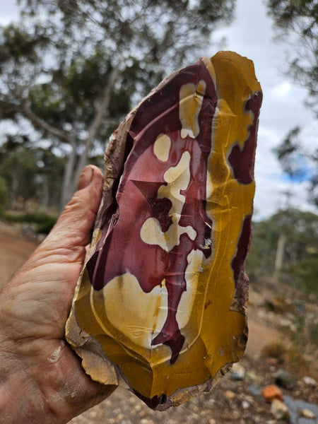 Mookaite rough.  MKR 292