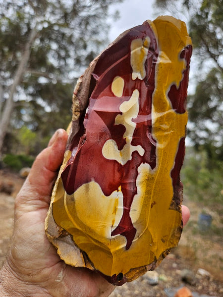 Mookaite rough.  MKR 292